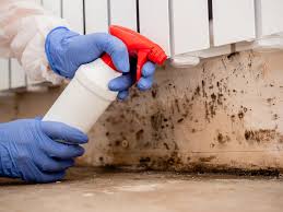 Best Forensic Mold Investigation  in Maysville, NC